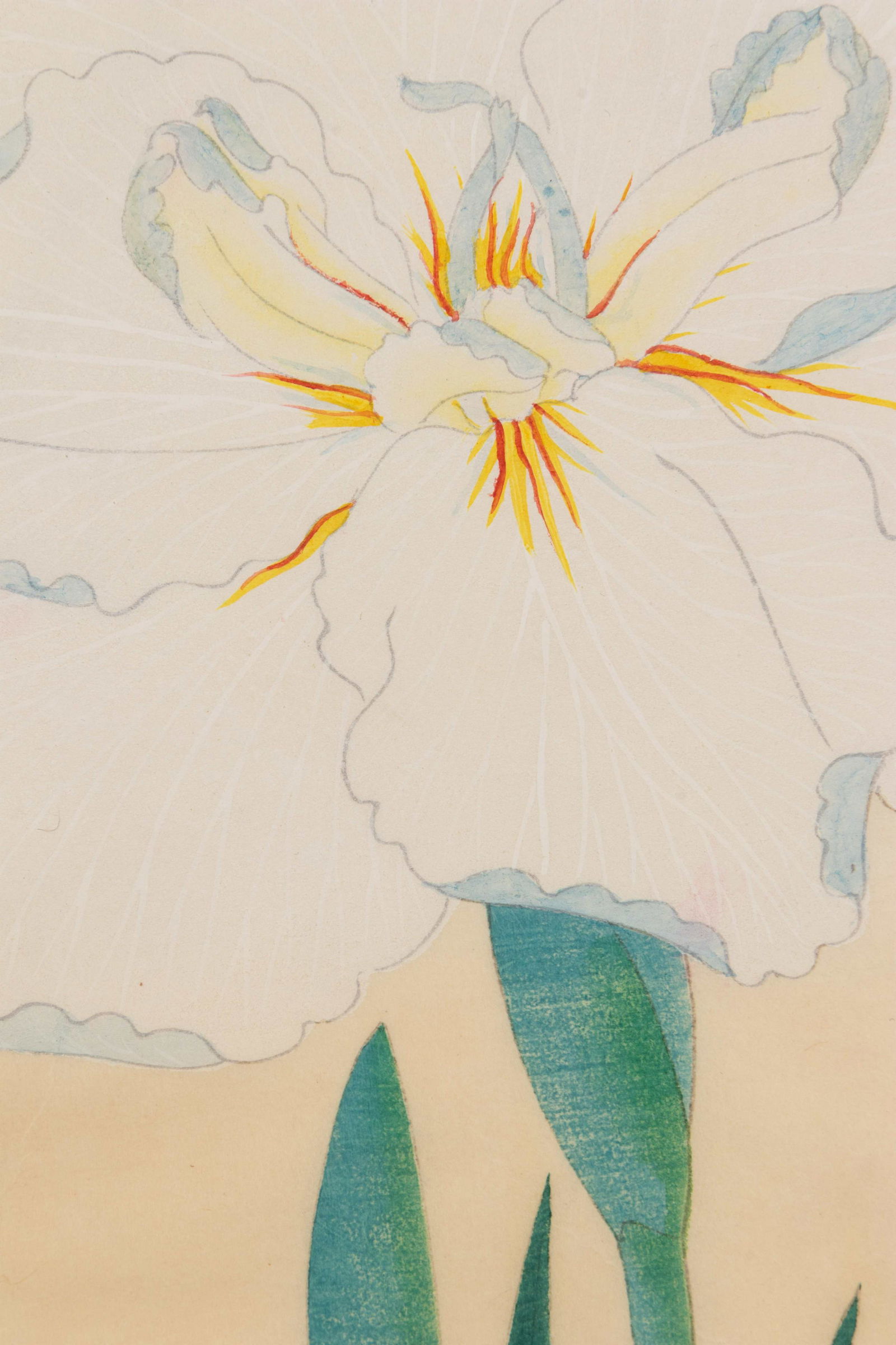 Seven Original Hand-Colored Prints 392 x 278 mm (1 of 2)