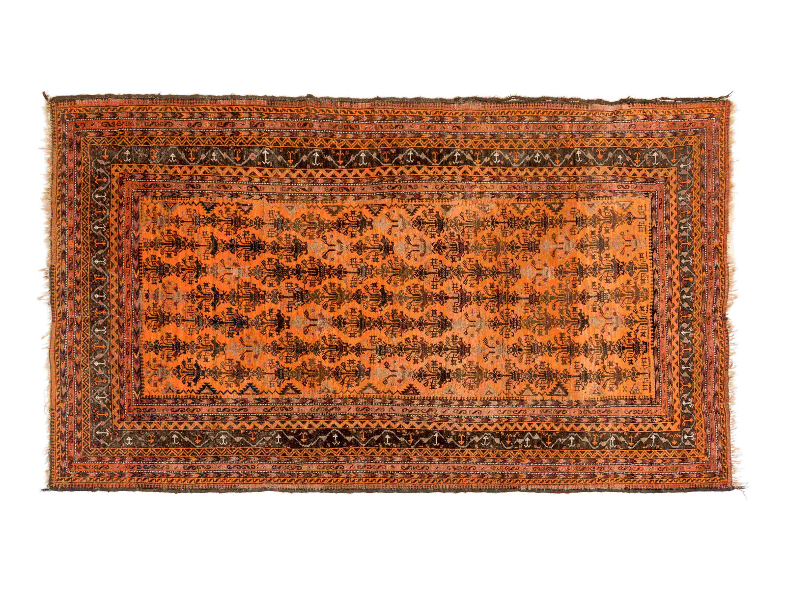 A Baluch Wool Rug (1 of 1)