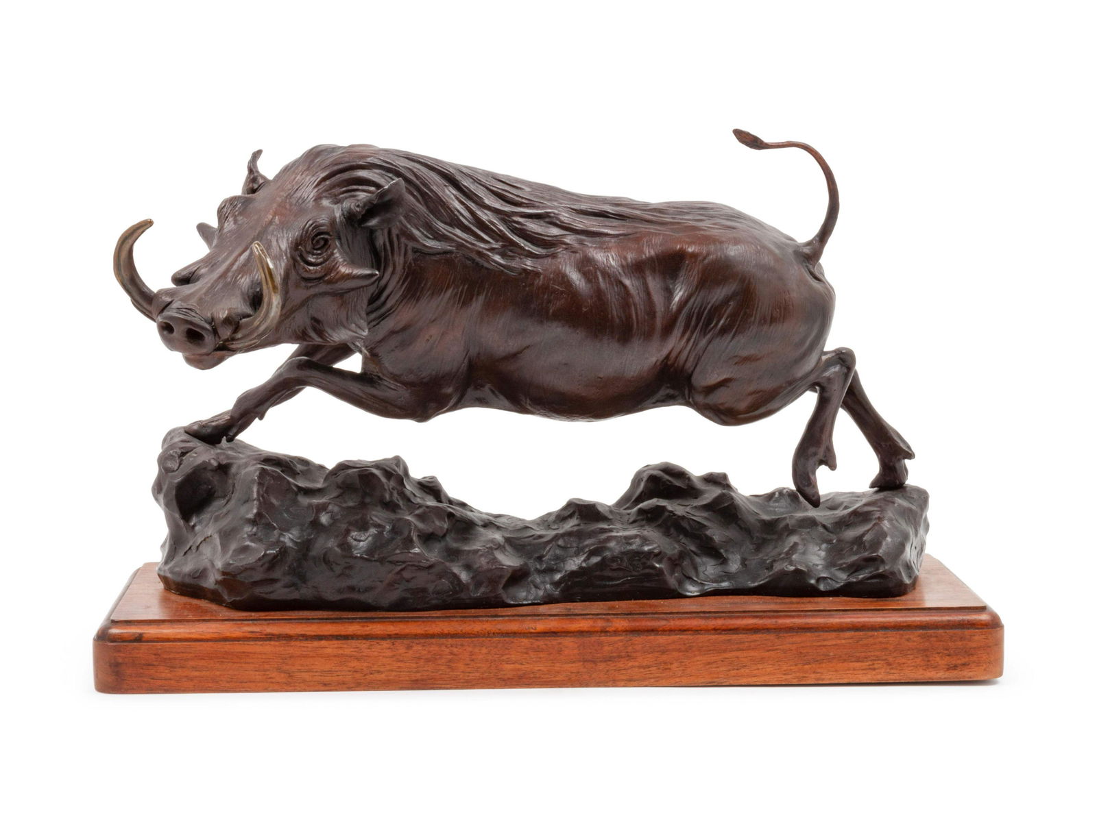 David Schaefer (American, 1949-2012) Warthog, 1992 (1 of 2)