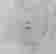 item-92157757=3
