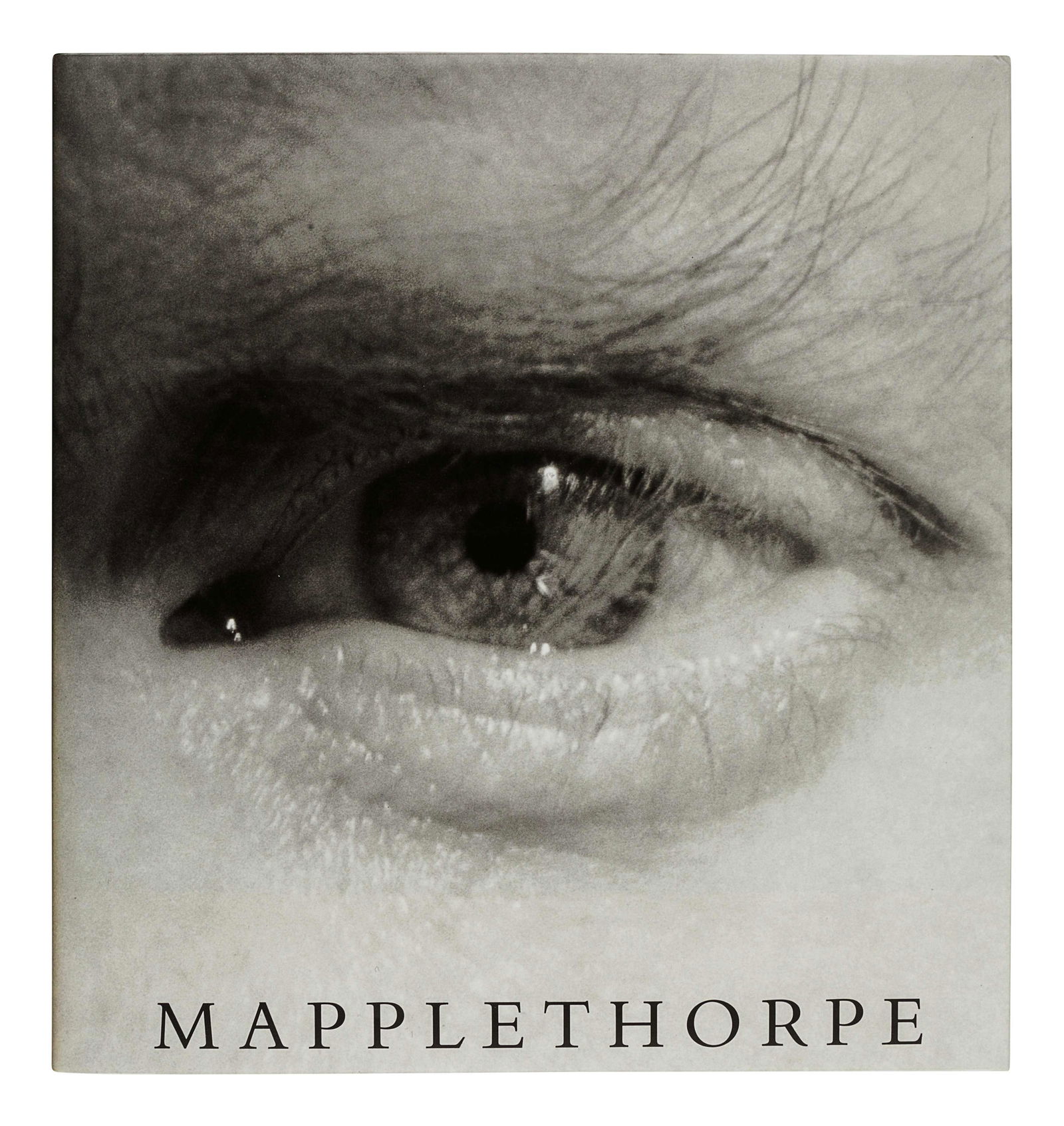 MAPPLETHORPE, Robert (1946-1989). DANTO, Arthur (1 of 3)