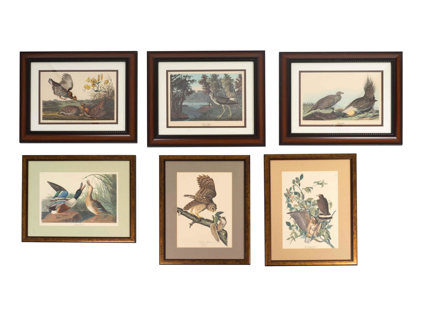 After John James Audubon Thirteen Birds of America (1 of 4)
