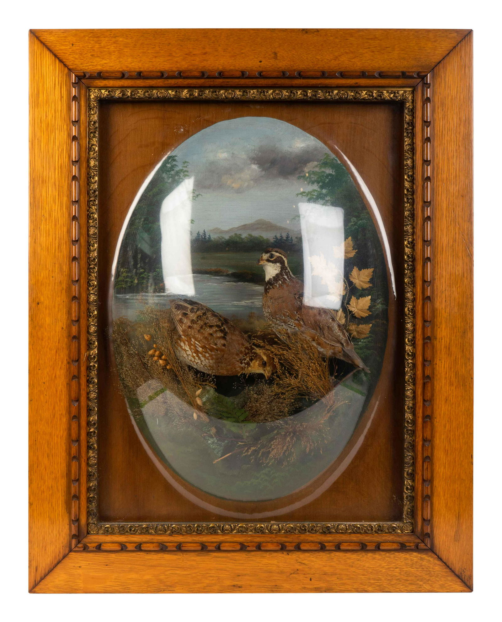 A Victorian Taxidermy Aviary in Bubble Glass Oak Frame (1 of 1)