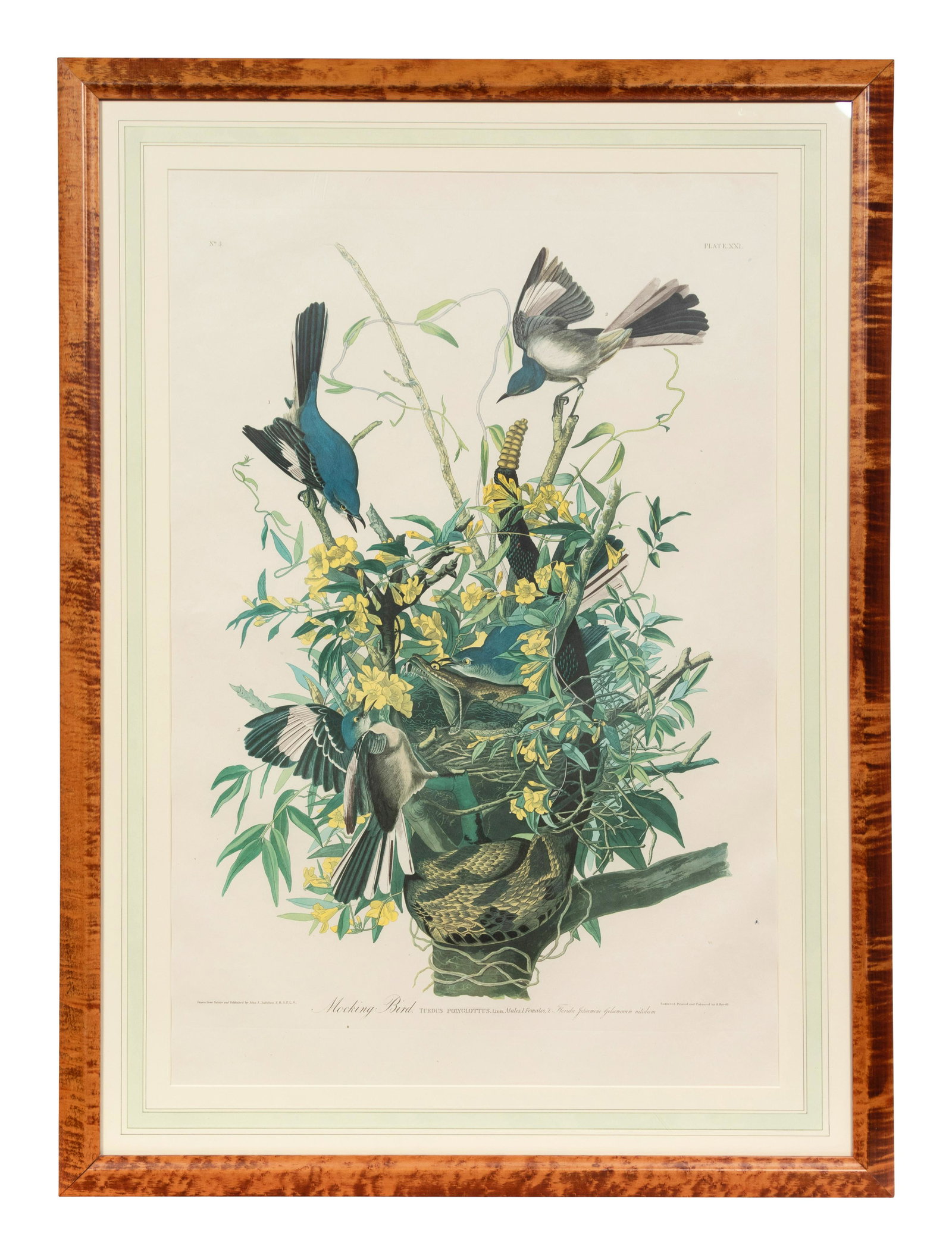 After John James Audubon (American, 1785-1851) (1 of 2)