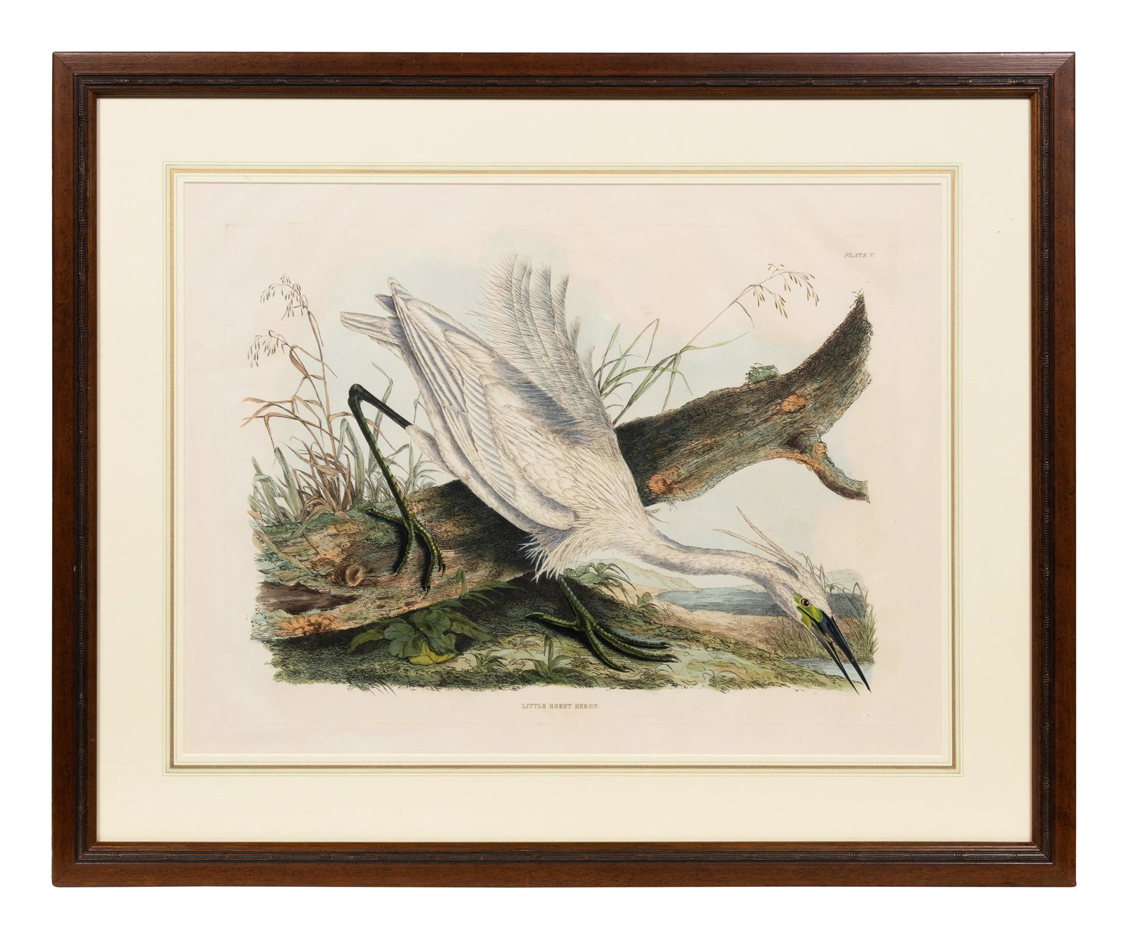 After John James Audubon (American, 1785-1851) (1 of 2)