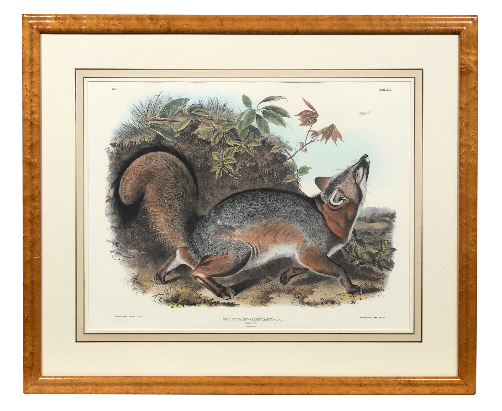 After John James Audubon (American, 1785-1851) (1 of 2)