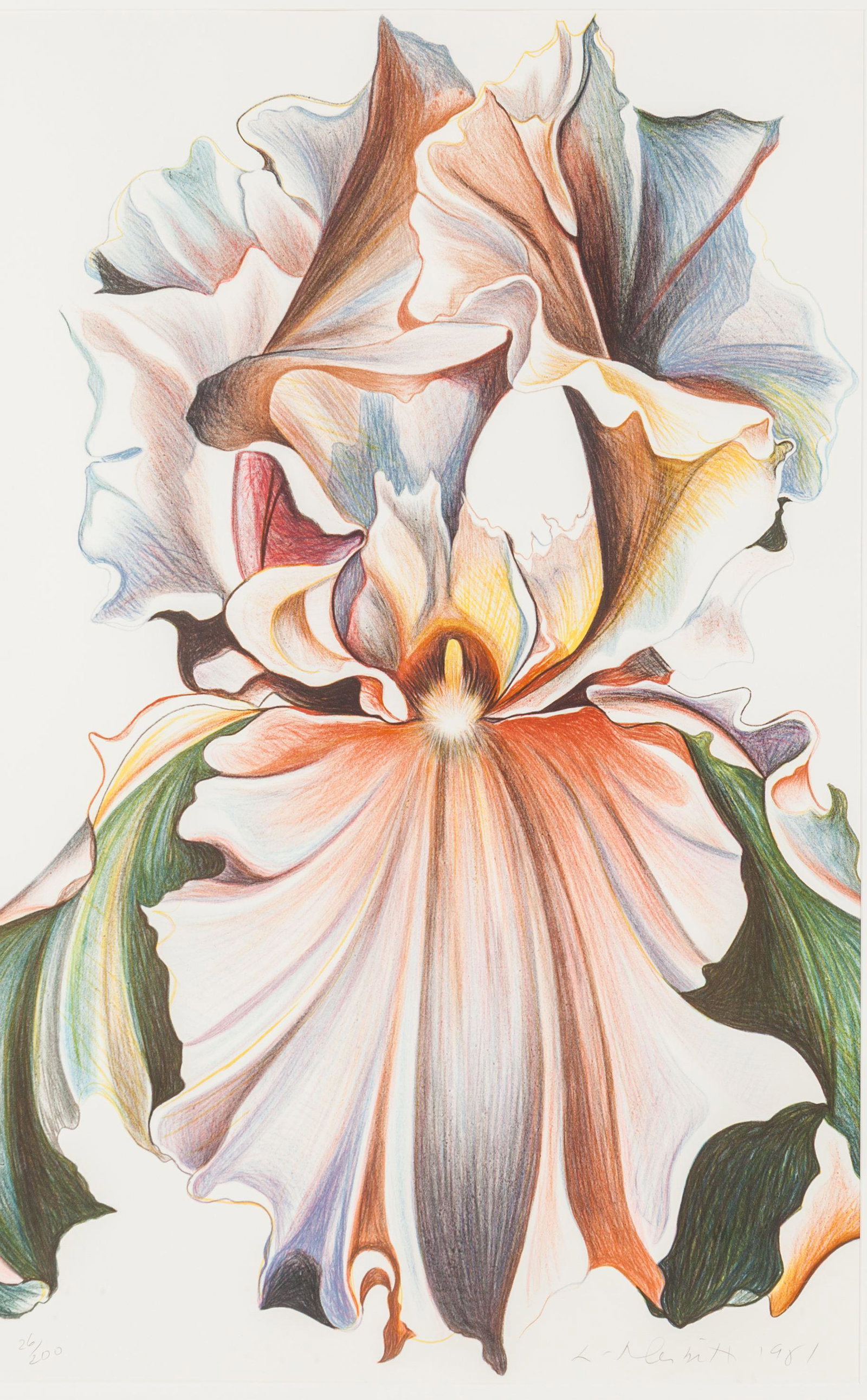 Lowell Nesbitt (American, 1933-1993) Iris I andOriental: Lowell Nesbitt (American, 1933-1993) Iris I andOriental Iris, 1981 lithograph and serigraph each signed, dated and numbered in pencil Larger: 33 1/2 x 36 inches. Property from the Collection of Mark a