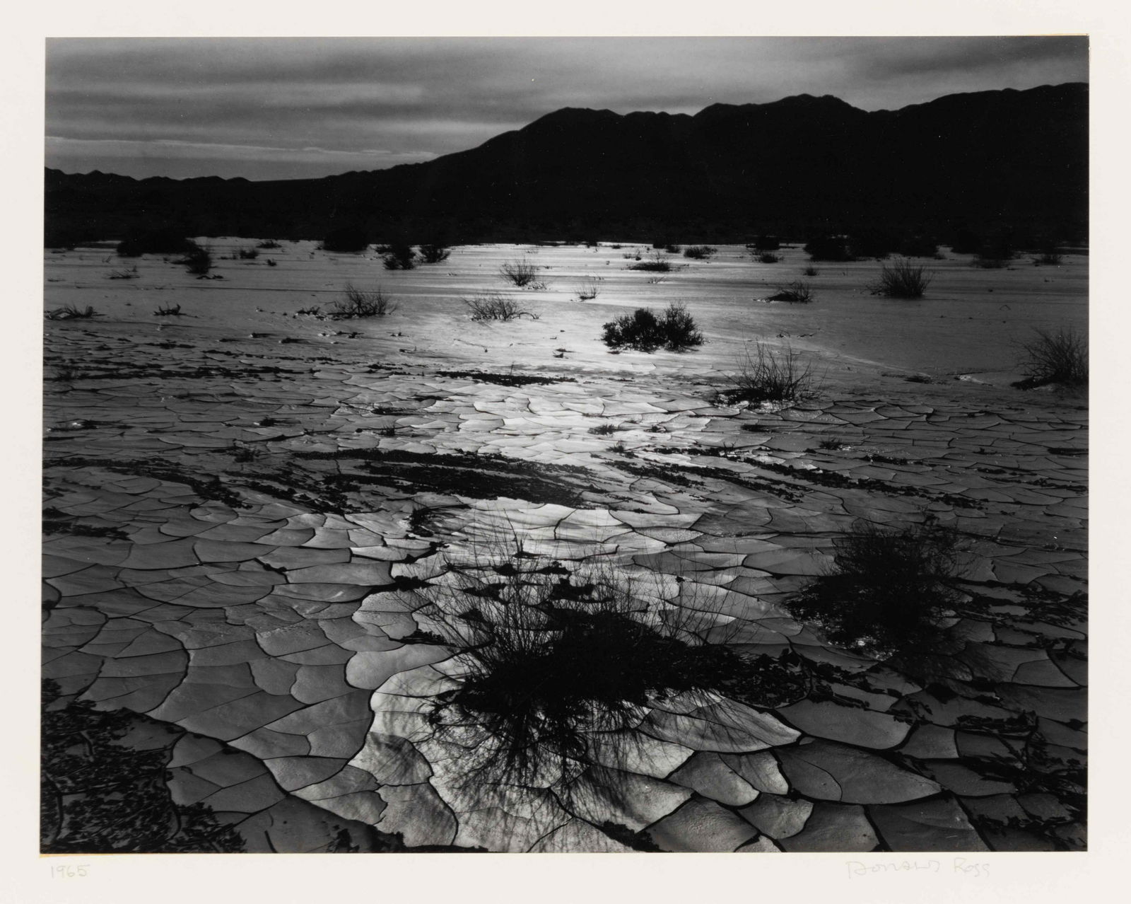 Donald Ross (American, 20th Century) (1 of 5)