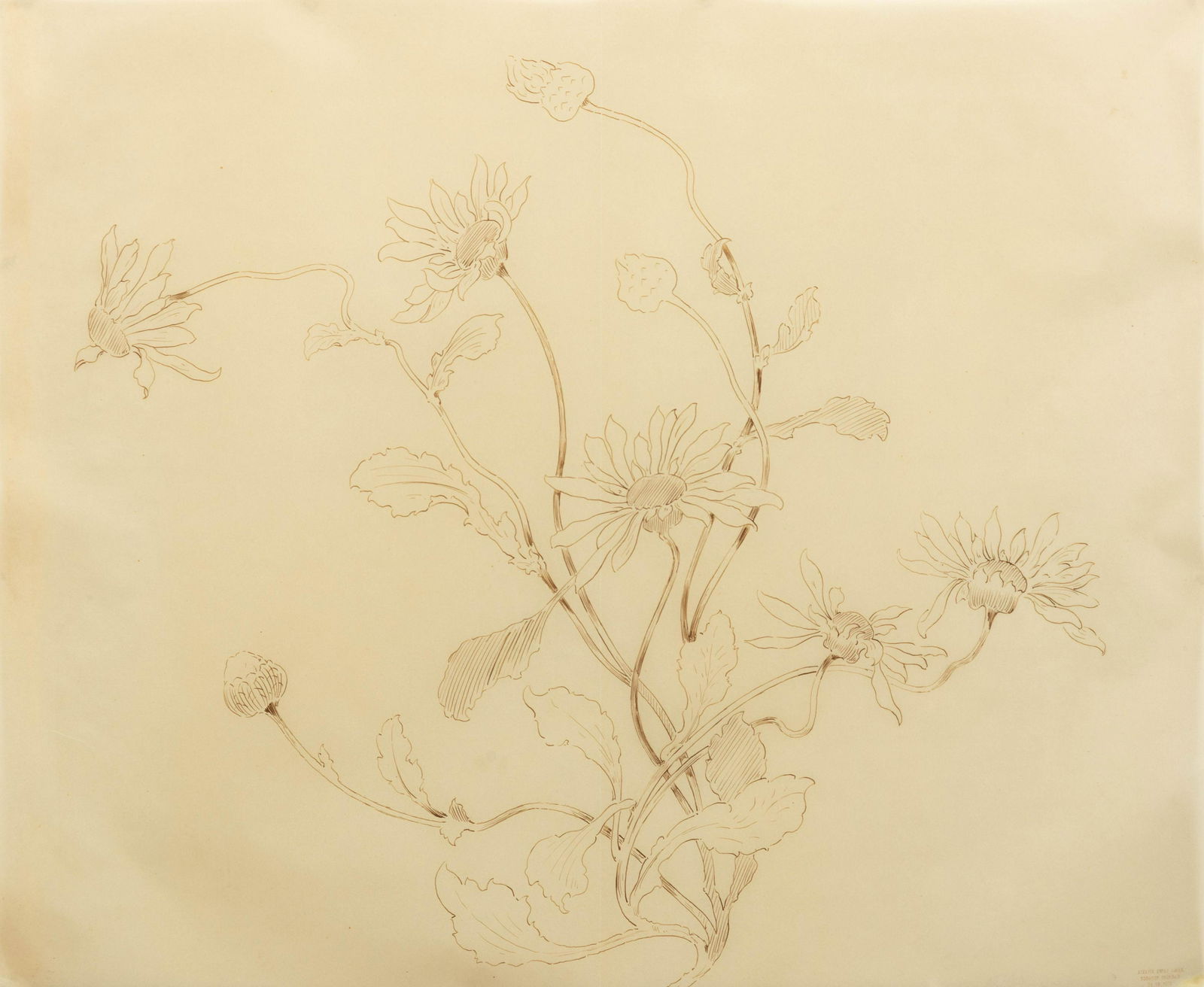 Emile Galle (French, 1846-1904) (1 of 11)