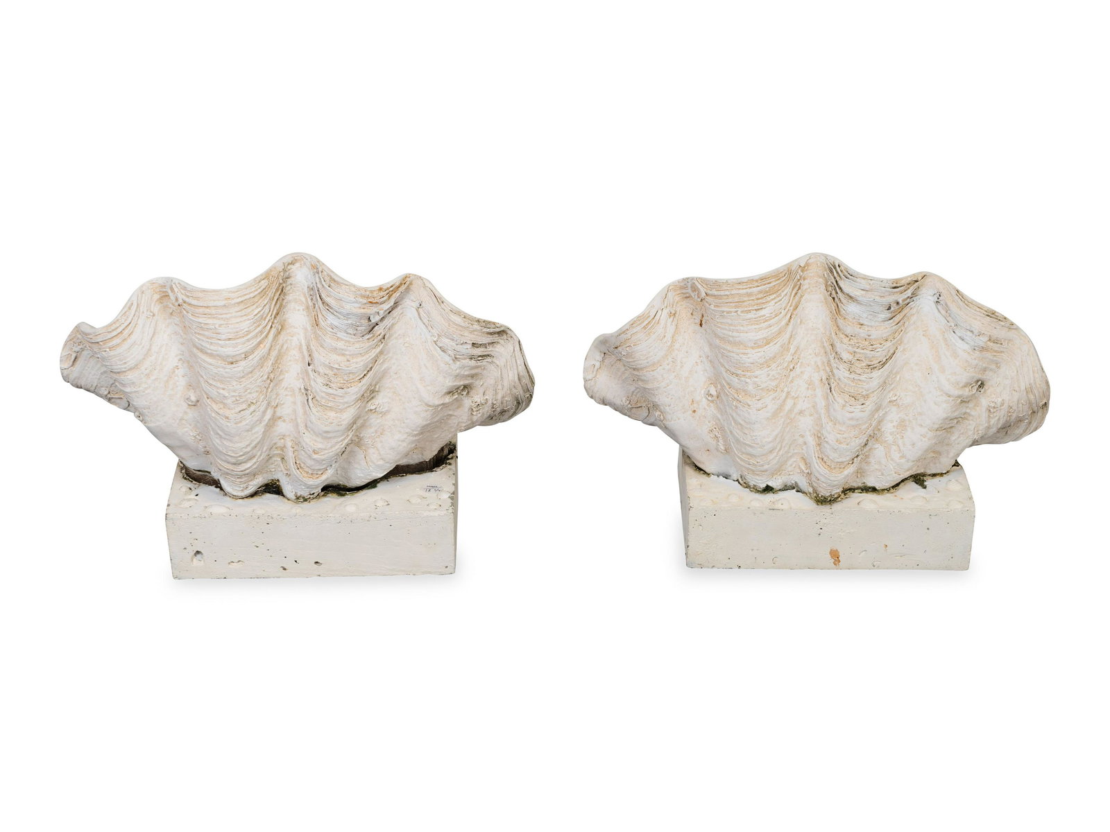 A Pair of Large Synthetic Clam Shell Height 24 inches.: A Pair of Large Synthetic Clam Shells 20TH CENTURY Each mounted on a square travertine base. Height 24 inches. The Estate of Cynthia Van Buren, Palm Beach, FL