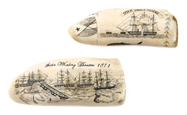 A Group of Two Scrimshaw Whale's Teeth, Length of longe: A Group of Two Scrimshaw Whale's Teeth, the first inscribed Arctic Whaling Disaster 1871 with engraved scene of the disaster, the reverse showing a compass and inscribed Bark Monticello, Thomas Willia