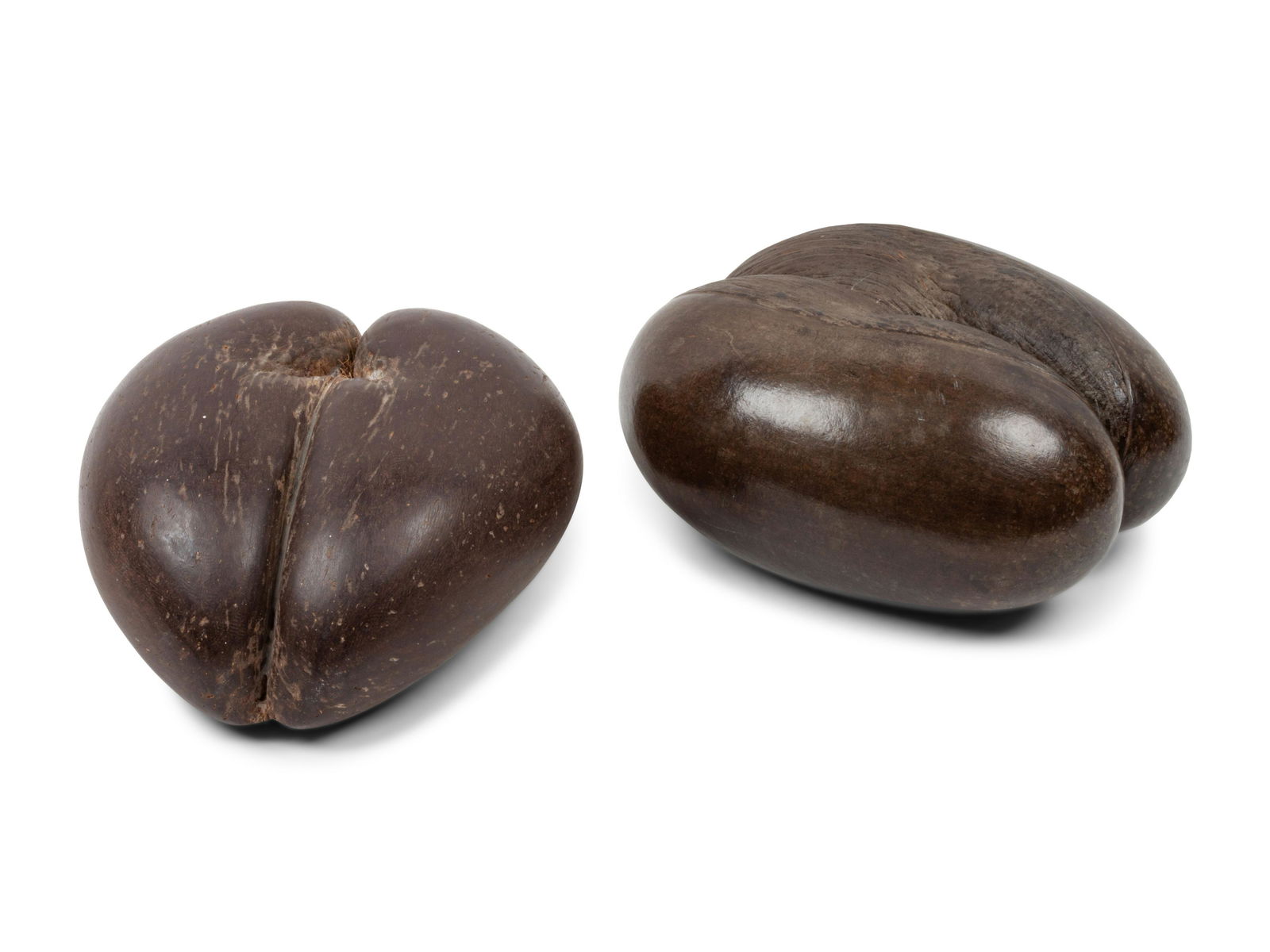 A Pair of Coco de Mer Nuts Largest height 5 1/2, width (1 of 3)