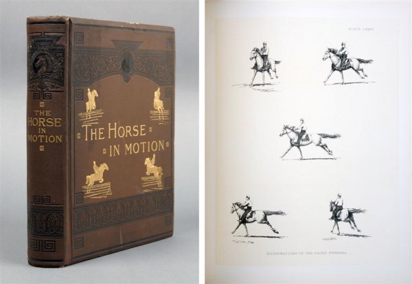(PHOTOGRAPHY, STOP-MOTION) STILLMAN, J. D. B: (PHOTOGRAPHY, STOP-MOTION) STILLMAN, J. D. B The Horse in Motion as Shown by Instantaneous Photography . . . . Illustrated by Eadweard Muybridge. Boston: James R. Osgood, 1882. 4to, gilt lettered pict