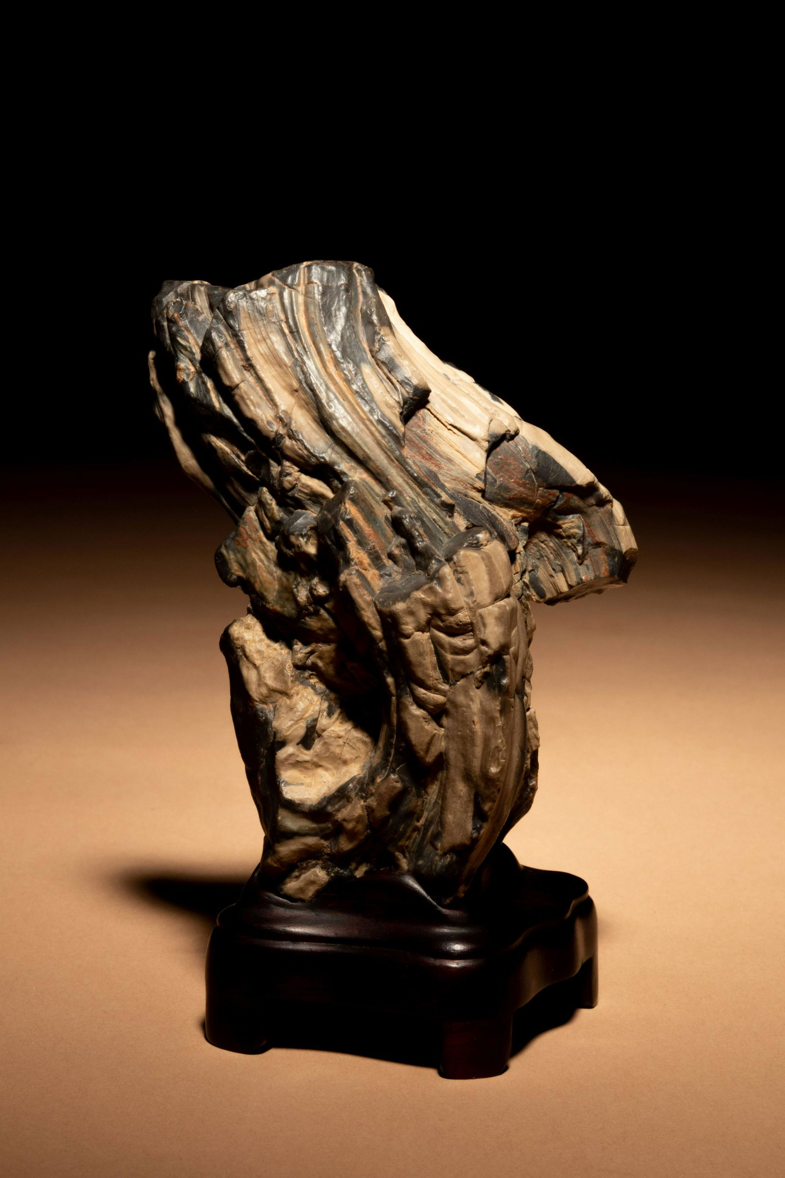 A Small Petrified Wood Scholar's Rock (1 of 3)