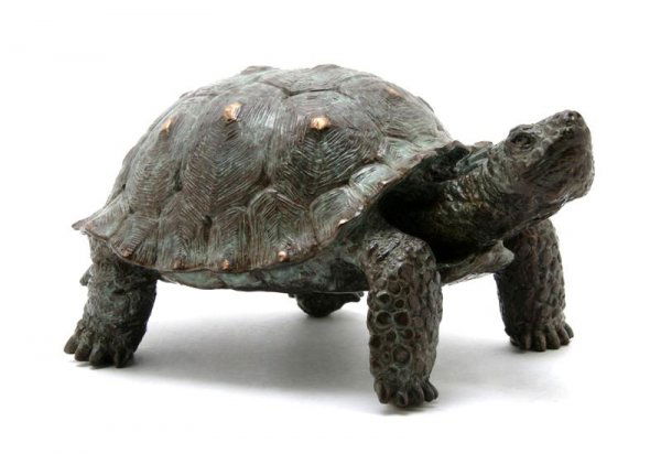 A Bronze Turtle, Tom Knapp, Length 11 1/2 inches.: A Bronze Turtle, Tom Knapp, 1994, signed and numbered 2/18. Length 11 1/2 inches.