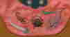 item-99619677=2