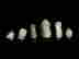 item-99619930=2