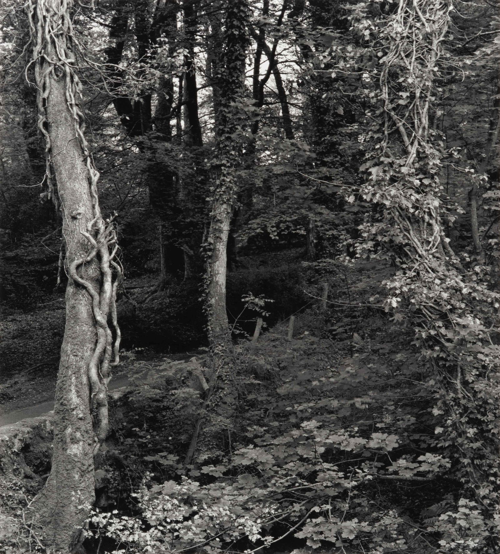 Kenneth Josephson (American, b. 1932) England, 1990 (1 of 4)