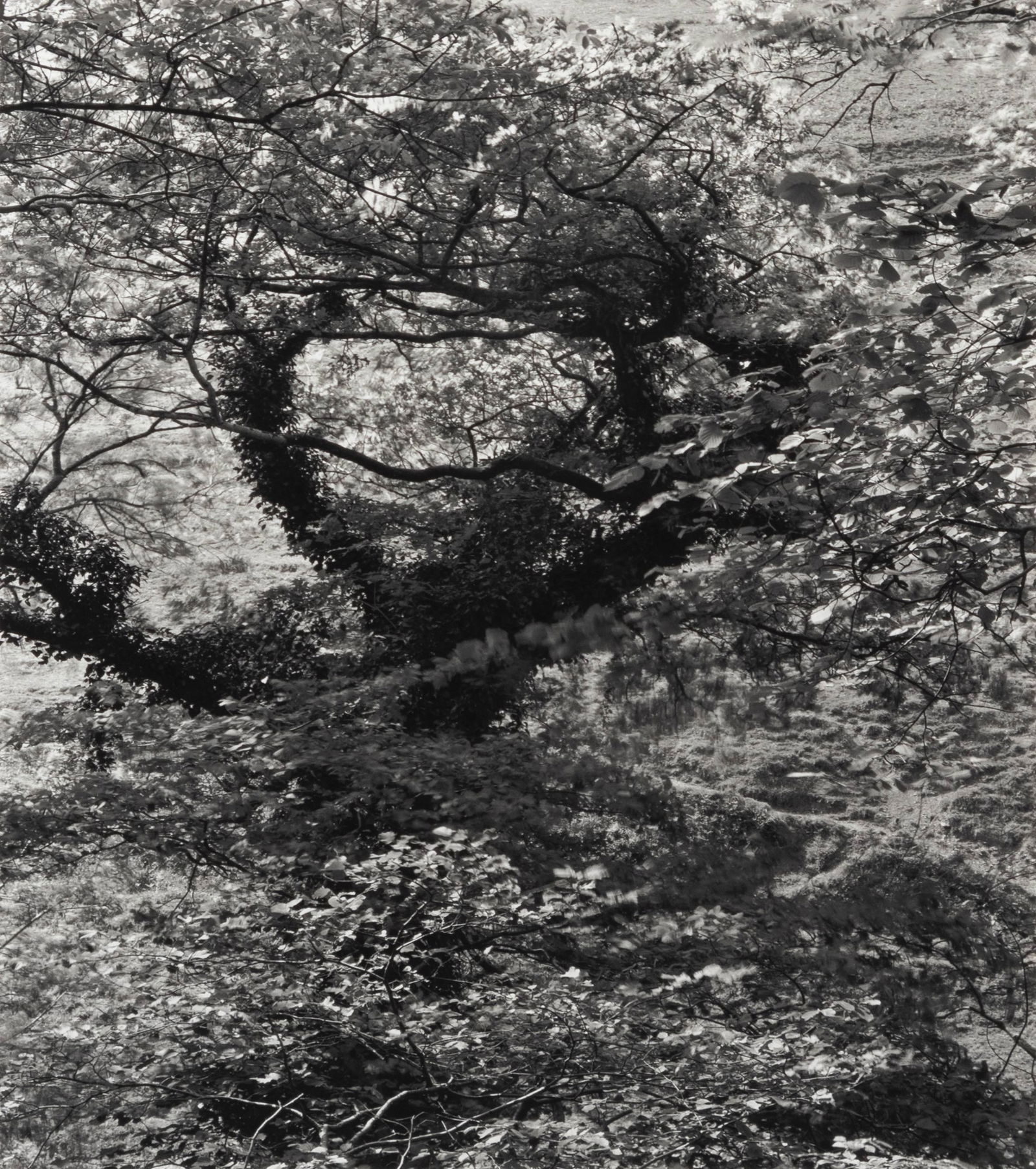 Kenneth Josephson (American, b. 1932) England, 1990 (1 of 4)