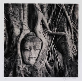 Rolfe Horn (American, b. 1971) Buddha in Trees, 2000: Rolfe Horn (American, b. 1971) Buddha in Trees, 2000 gelatin silver print signed, dated, and numbered 2/45 in pencil 11 1/2 x 11 1/2 inches.