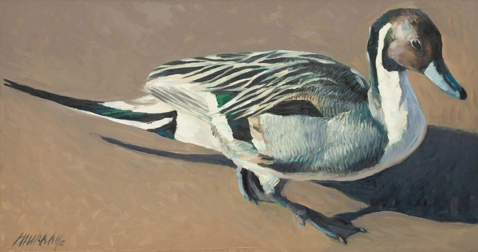 Richard Murray (American, b. 1948) Pintail, 2007 (1 of 3)
