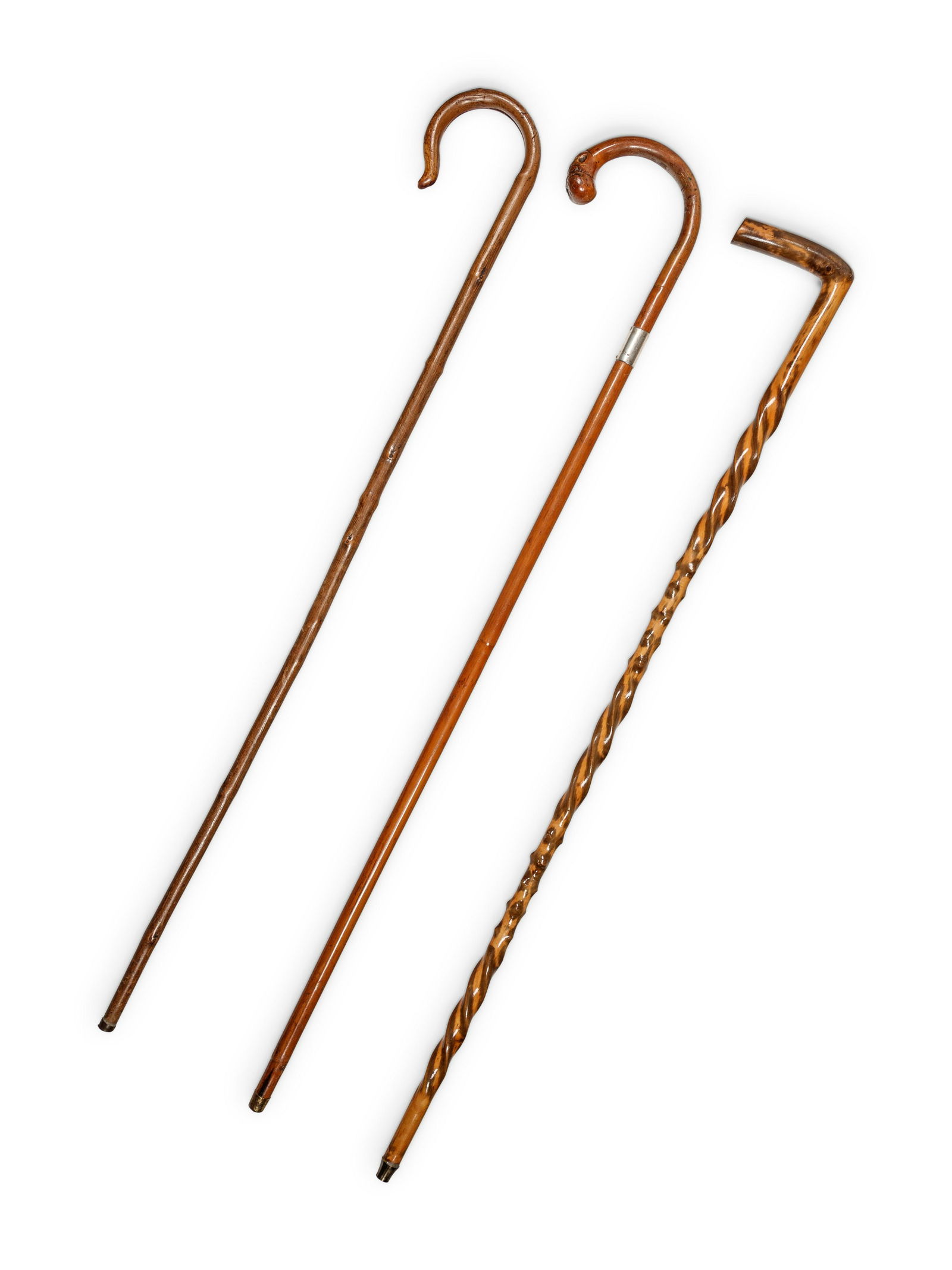 A Group of Three Walking Sticks (1 of 4)