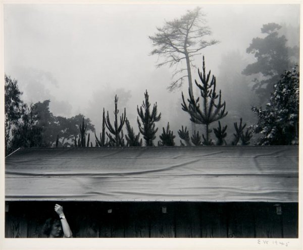 Edward Weston, (American, 1886-1958), C45-Fog I