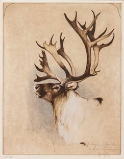 Michael Coleman (American, b. 1946) Mountain: Michael Coleman (American, b. 1946) Mountain Caribou, edition 20/95, 1986 hand colored etching signed Michael Coleman, titled and dated (lower right); numbered (lower left) 11 3/4 x 9 1/8 inches
