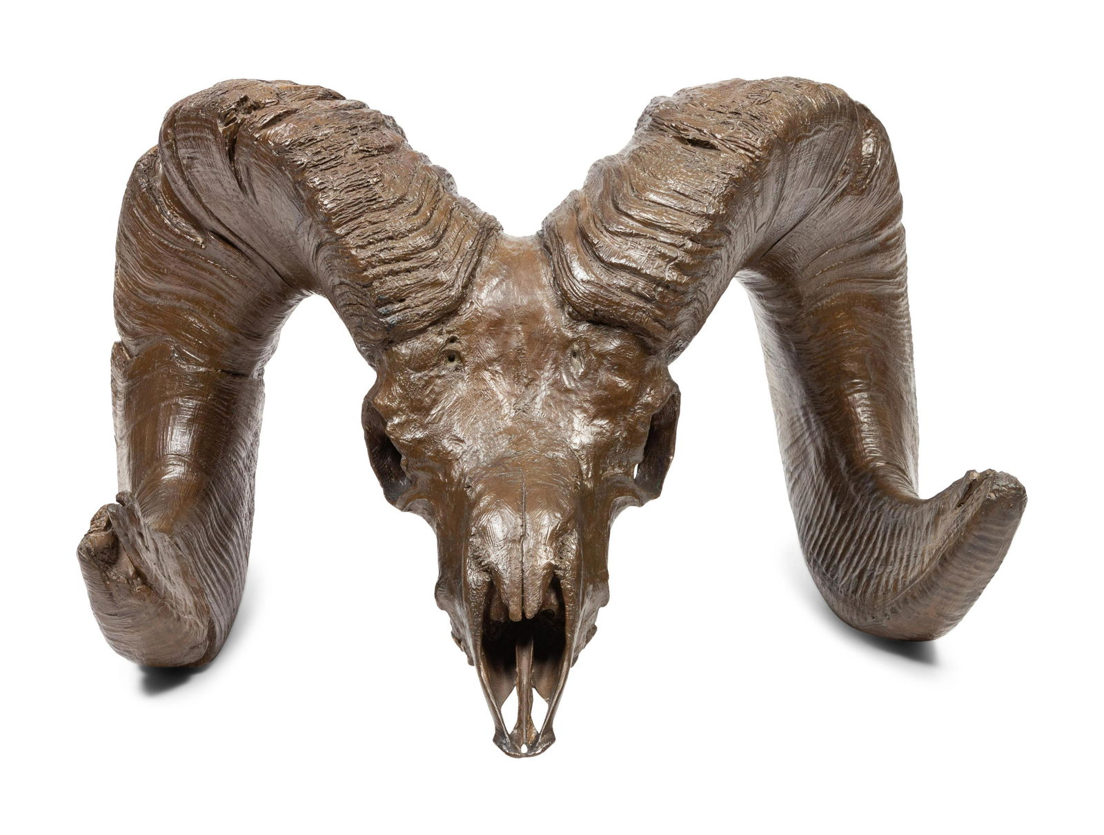 Artist Unknown Longhorn Skull, edition 1/22 (1 of 4)