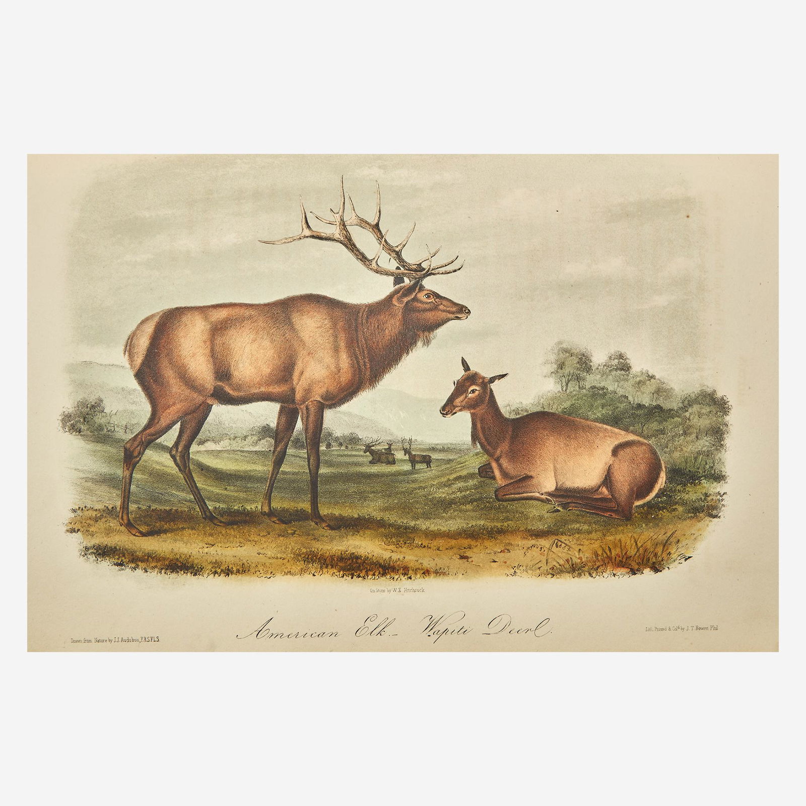 [Prints] Audubon, John James, and Rev. John Bachman The (1 of 6)