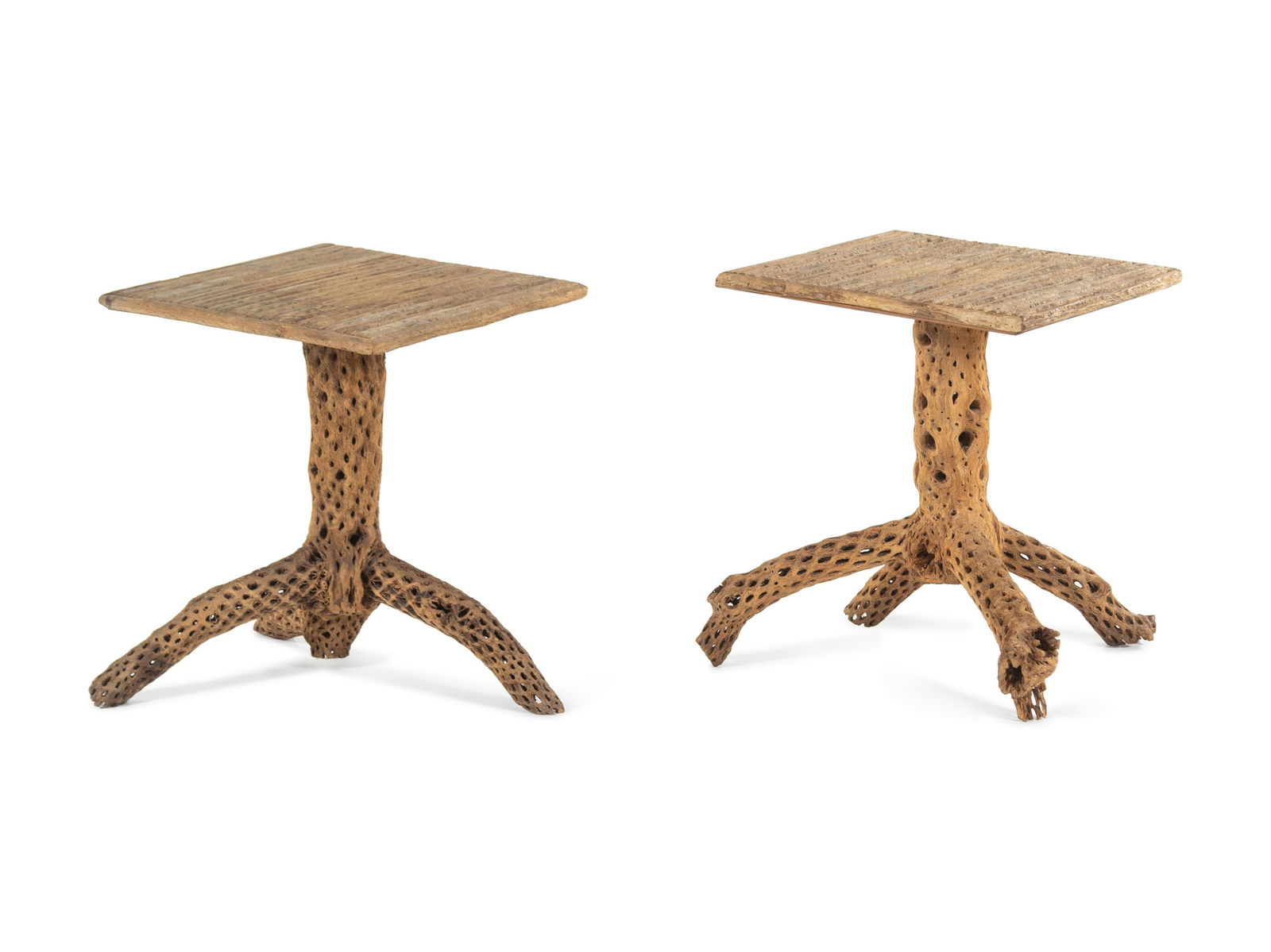 A Pair of American Cholla Wood End Tables (1 of 3)