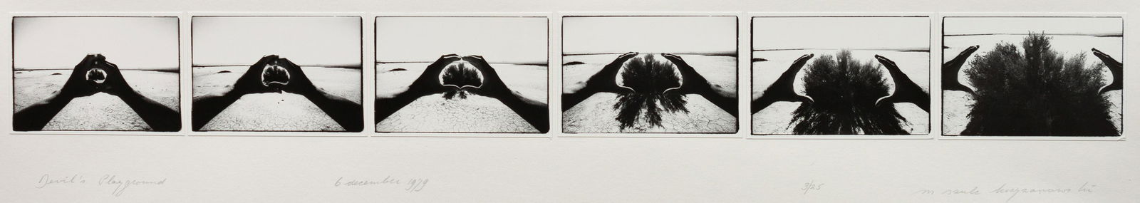 Michel Szulc Krzyzanowski (Dutch, b. 1949) Devil's: Michel Szulc Krzyzanowski (Dutch, b. 1949) Devil's Playground (hands with bush), 1979 six gelatin silver prints signed, titled, dated, and numbered 3/25 (mount recto) 2 7/8 x 4 inches (each). Property