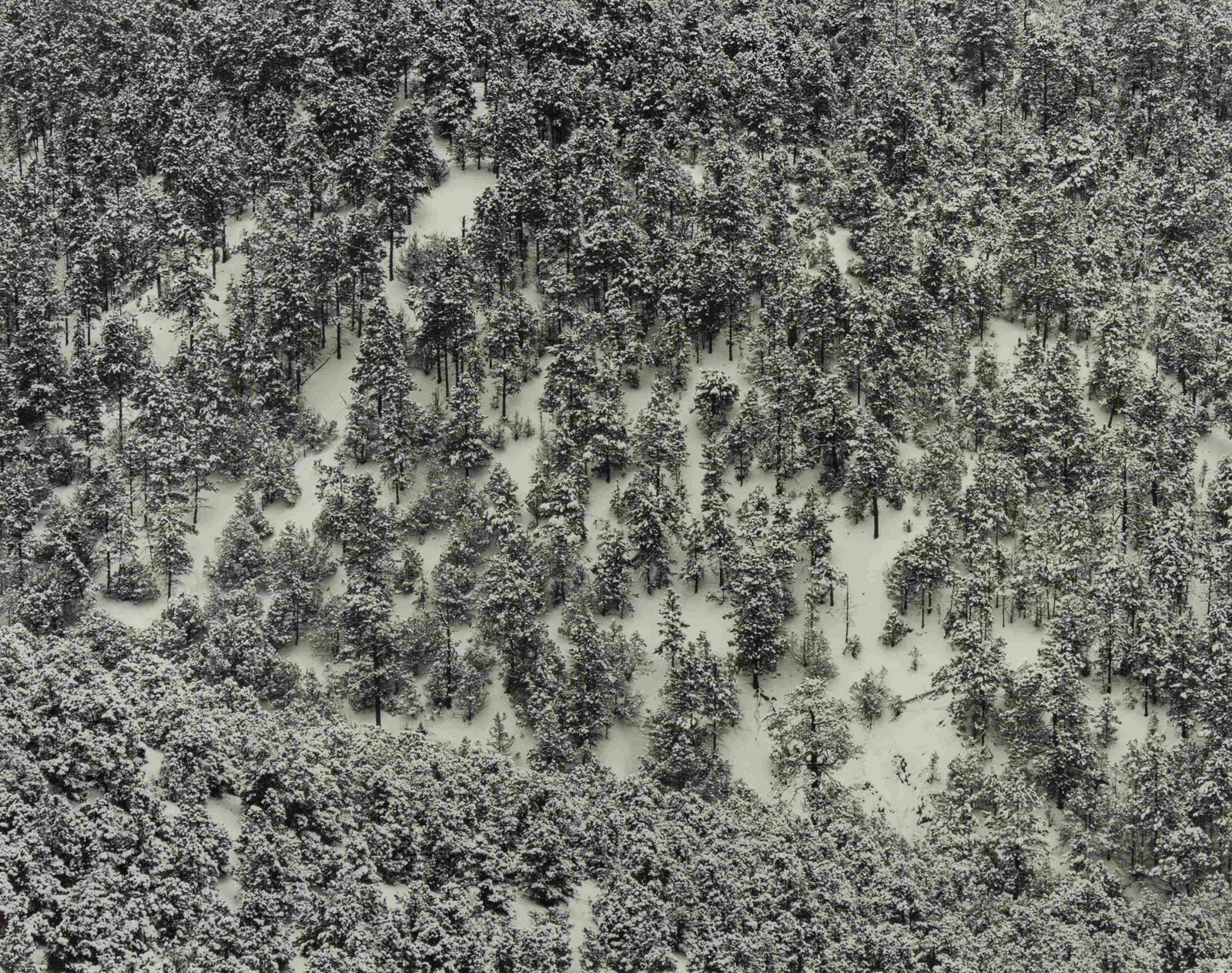 J. Barry Thomson (American, b. 1948) A group of four (1 of 10)