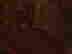 item-105744855=3