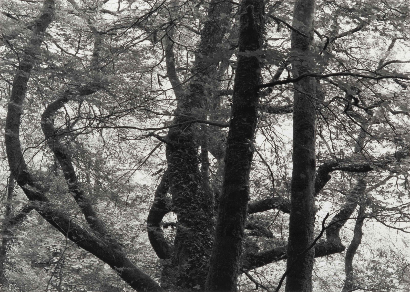 Kenneth Josephson (American, b. 1932) (1 of 4)