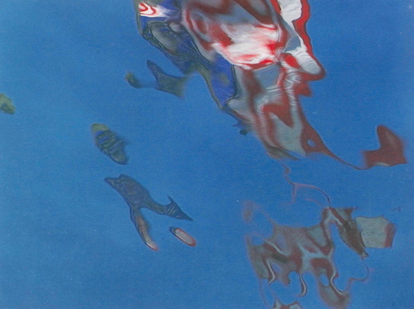 Joseph La Piana (American, b. 1966) (1 of 1)