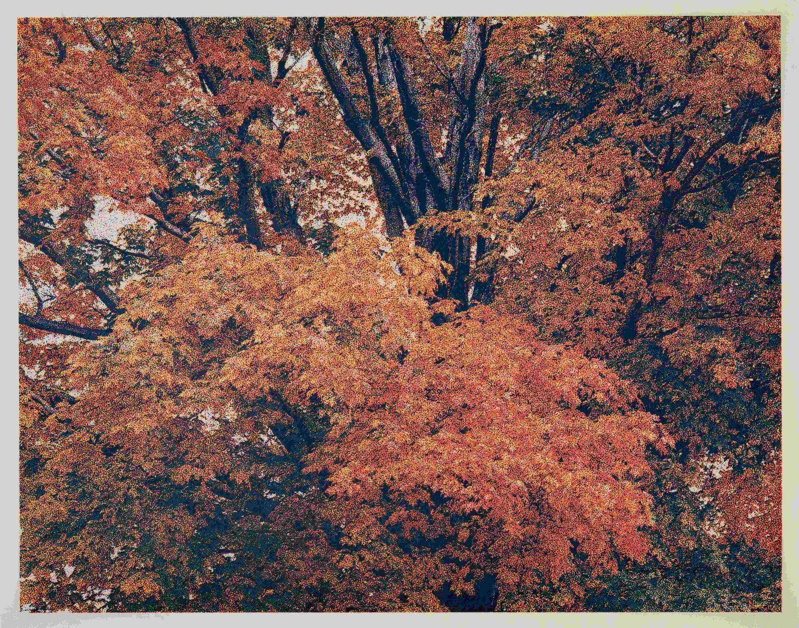 Larry Stark (American, b. 1941) (1 of 5)