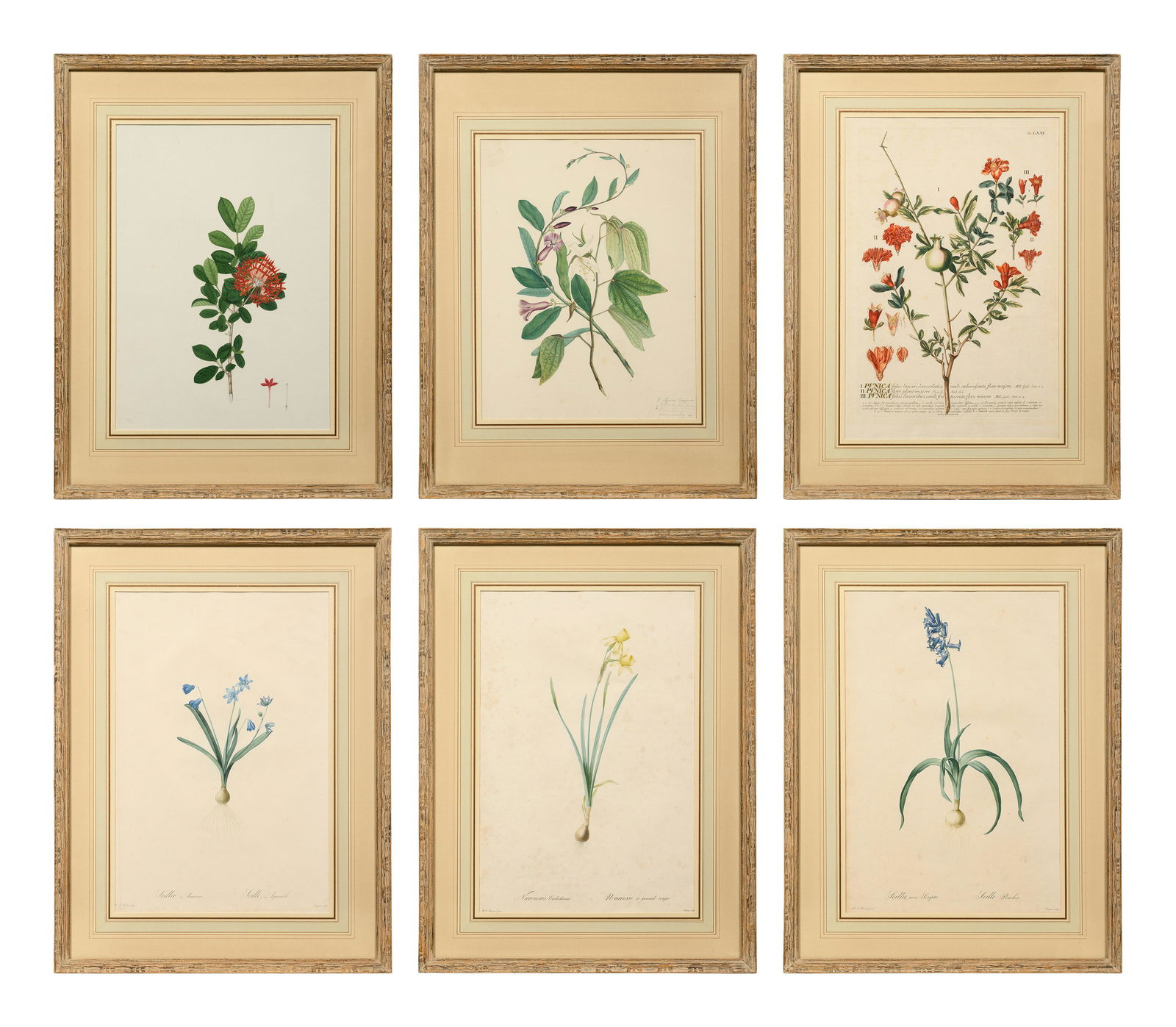 A Set of Six Botanical Artworks (1 of 14)