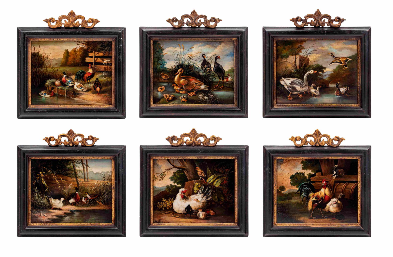 A group of six paintings depicting fowl (18th/19th (1 of 7)