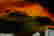 item-108603986=4