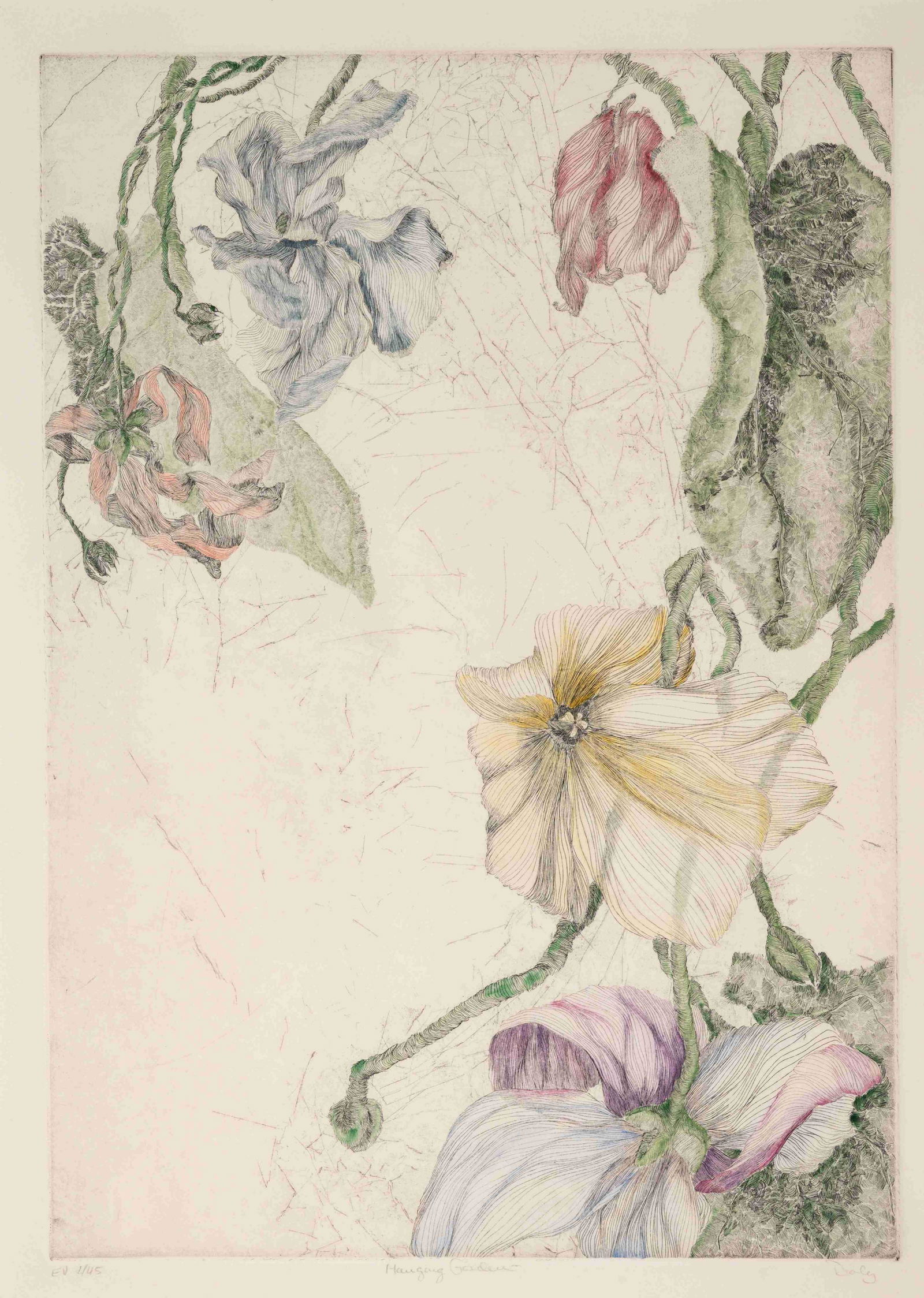 Cathleen Daly (American, b. 1943) Hanging Garden (1 of 6)