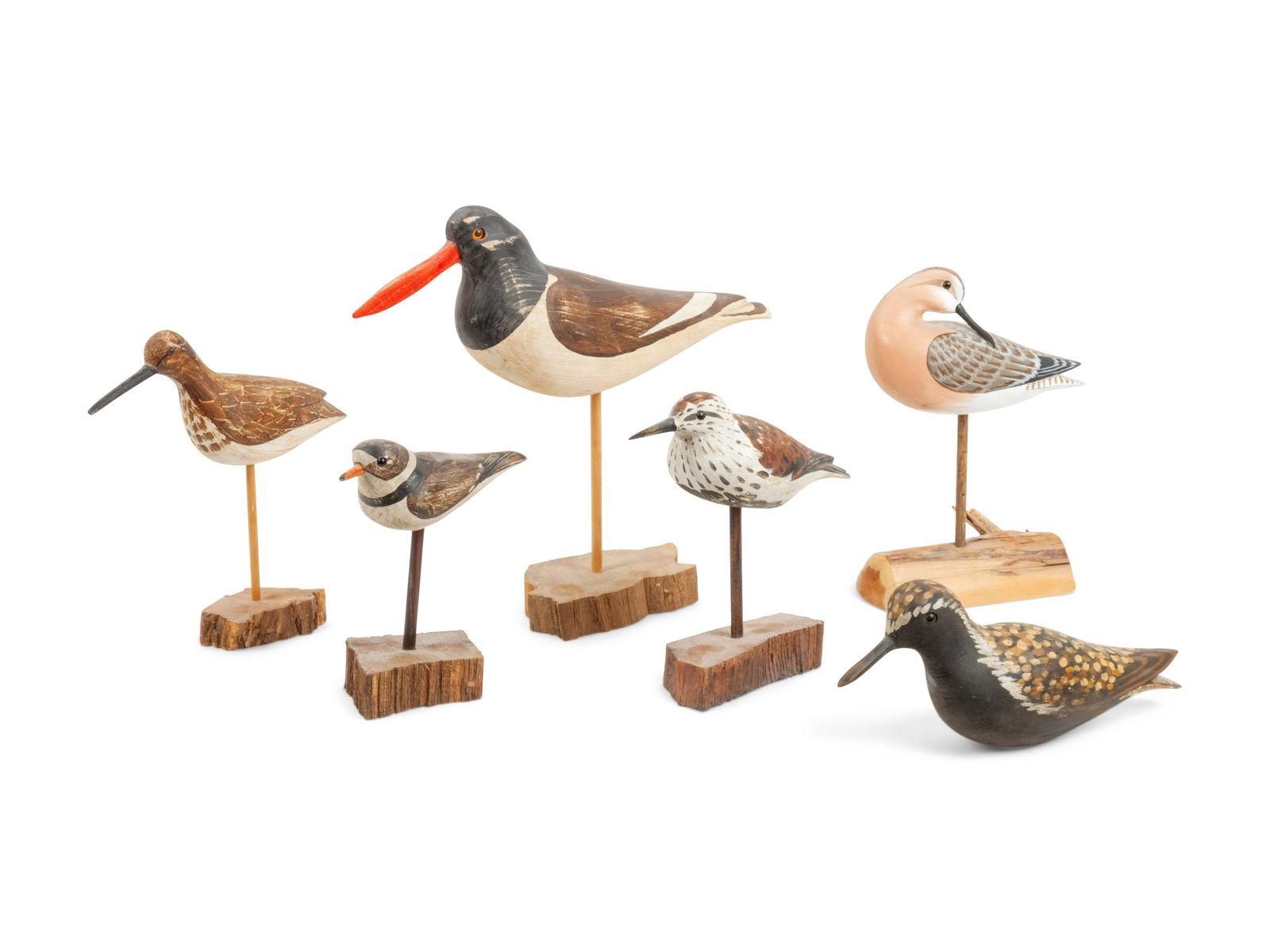 Six Carved and Painted Wood Models of Shorebirds (1 of 1)