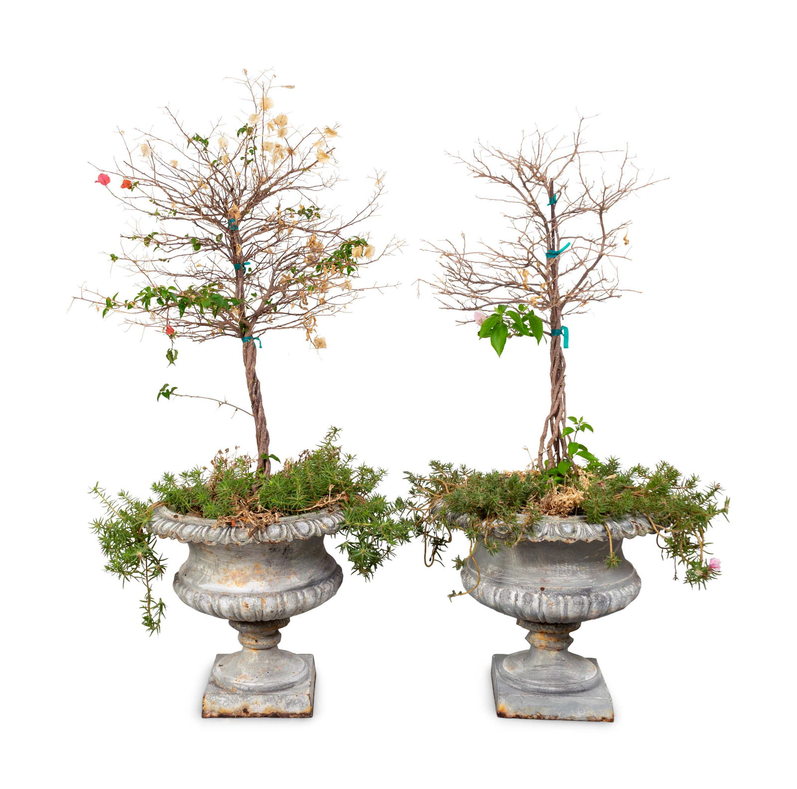 A Pair of Silver-Painted Campana-Form Garden Urns: A Pair of Silver-Painted Campana-Form Garden Urns 20th Century Height 17 1/2 x diameter 18 inches. Property from the Collection of Bruce McCashin, Vero Beach, Florida Note: This lot is located in West