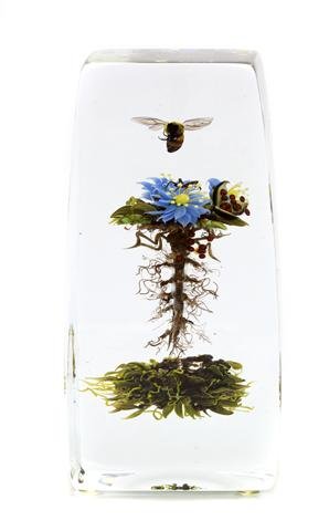 A Paul Stankard Glass Paperweight, Height 5 5/8 inches.: A Paul Stankard Glass Paperweight, the clear glass, of slightly tapering square form, enclosing a hovering bee over a botanical comprising three blue flowers, an ant, a spider and a seed pod releasing