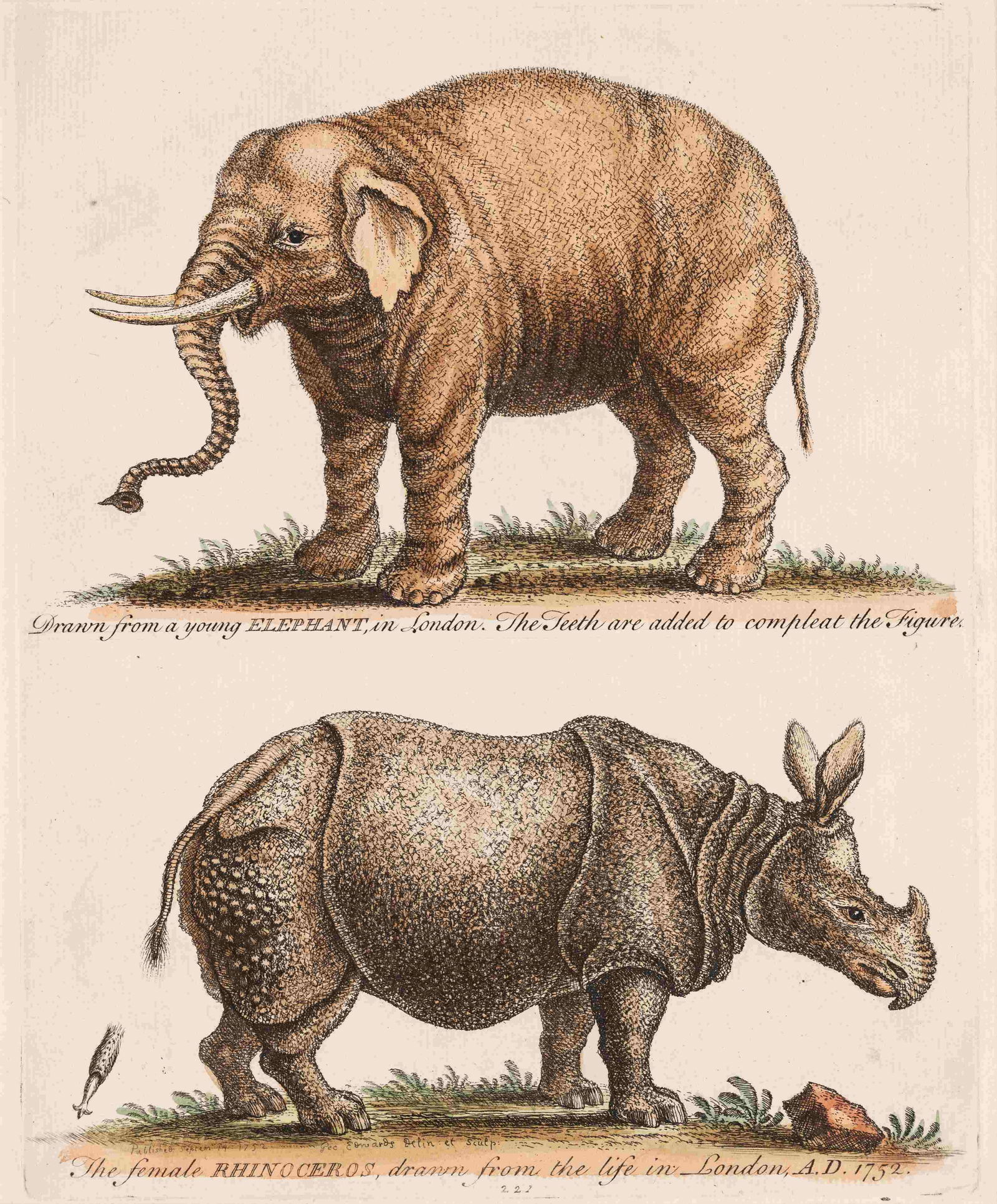 A group of three British prints (James Gillray,: A group of three British prints (James Gillray, Consequences of a Successful French Invasion after Sir John Dalrymple; John Boydell, The Wreck of the Nuestra Senora de los Remedios after a painting by