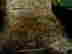 item-112168812=5