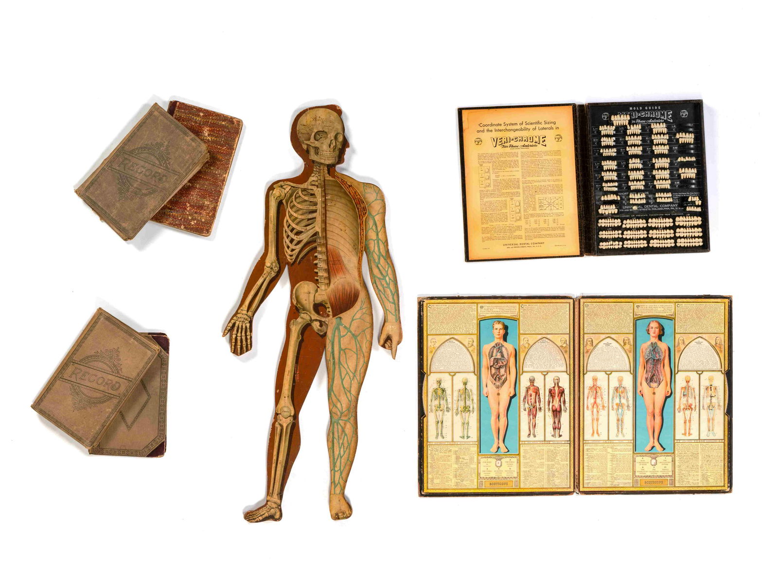 A Group of Medical and Anatomical Related Material (1 of 3)