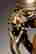 item-113214336=6
