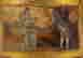 item-113214349=4