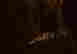 item-114051413=3